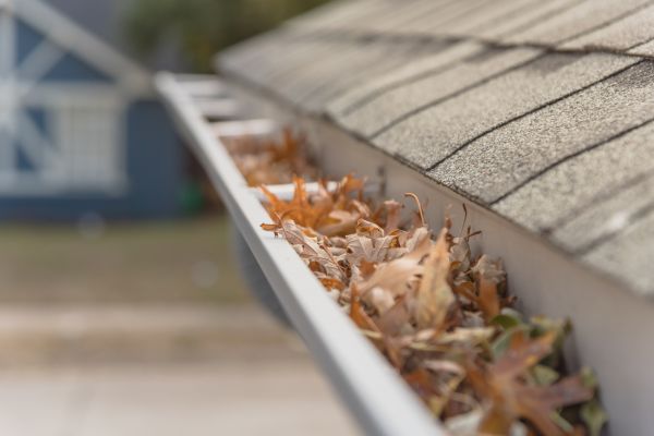 Leaf Barrier Installation in Taylors